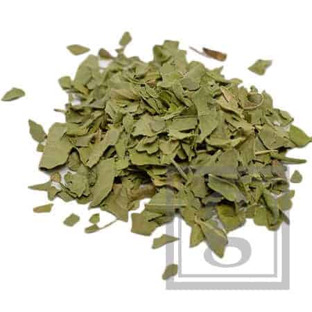 Verveine/ Citroenverbena